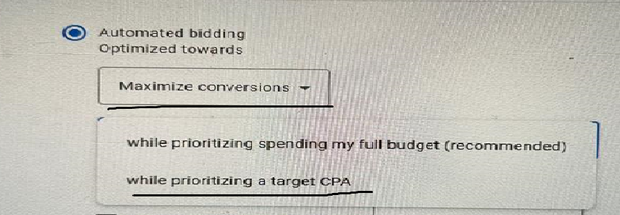 Maximize Conversion Bidding Strategy in DV360